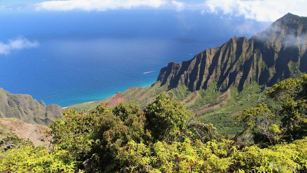 Point de vue sur la Na Pali Coast depuis le Kokee State Park