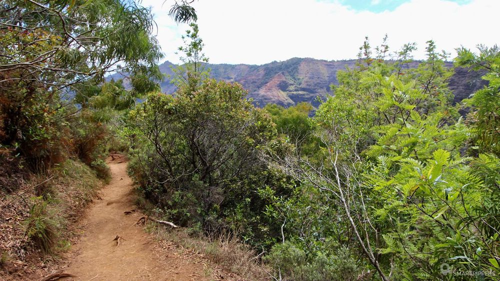 Au 2/3 du parcours, les vues sur le canyon apparaissent.