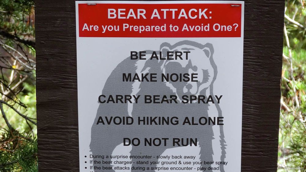 Panneau signalant la présence des ours.