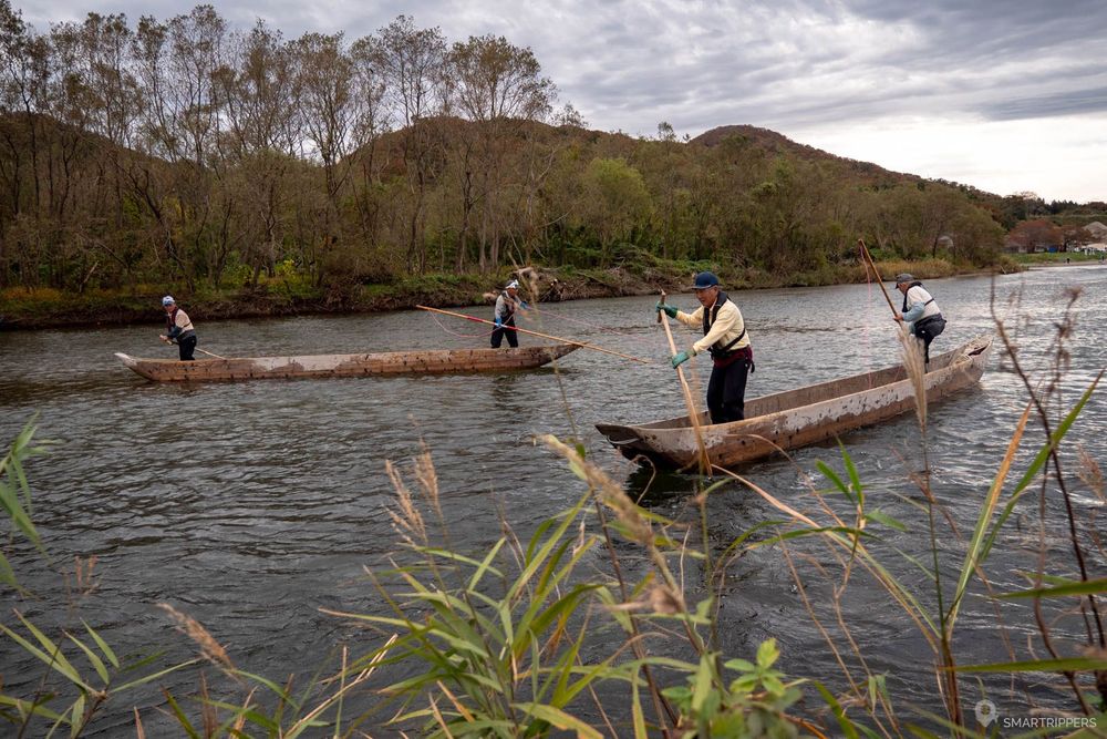 Les pêcheurs tentent de rabattre les saumons.