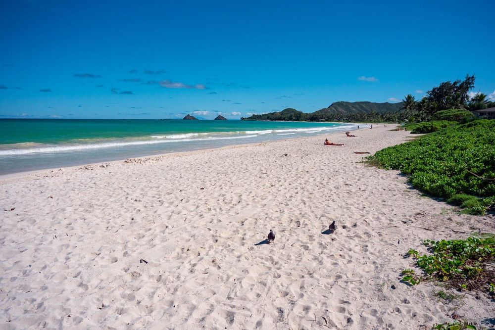 La plage plus calme et plus sauvage de Kalama Beach