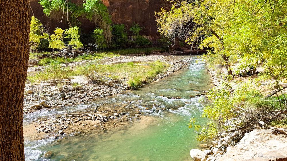 La Virgin River près de l'entrée des Narrows.