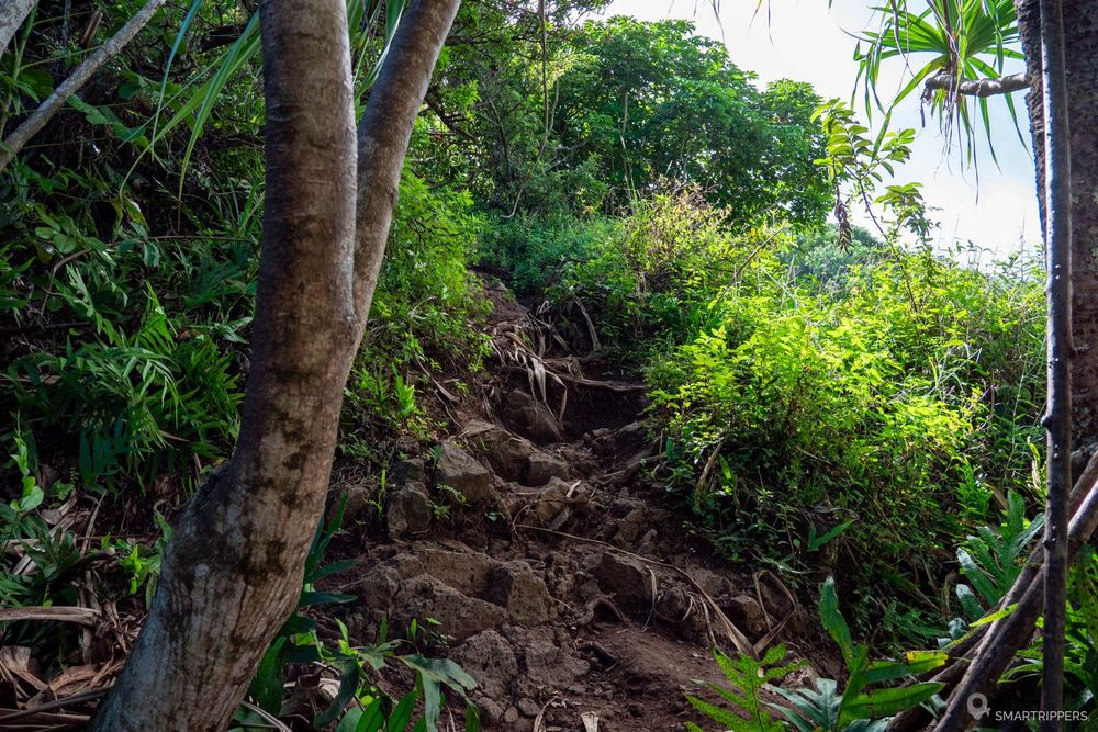Le sentier qui monte au Crouching Lion