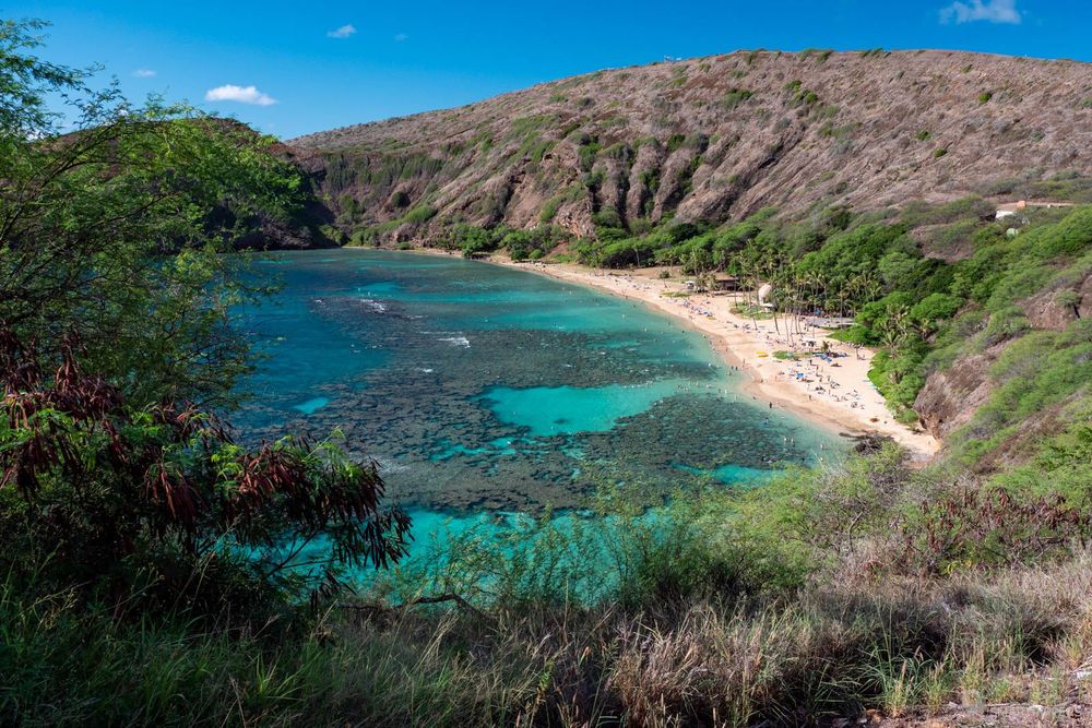 Vue d'ensemble d'Hanauma Bay depuis le parking