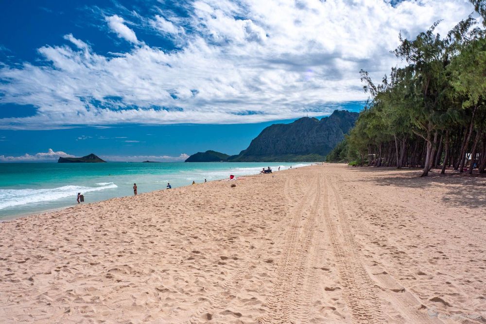 La longue et belle plage de Sherwood Beach