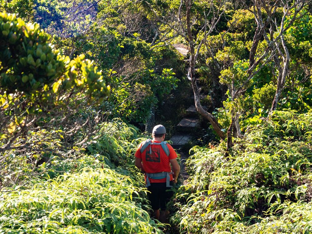 Descente vers le plateau depuis le Pihea Trail.