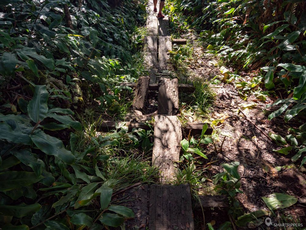 Petites marches de bois un peu instables.