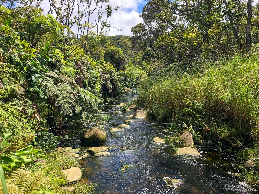 La rivière à traverser (la passage n'est pas visible sur la photo).