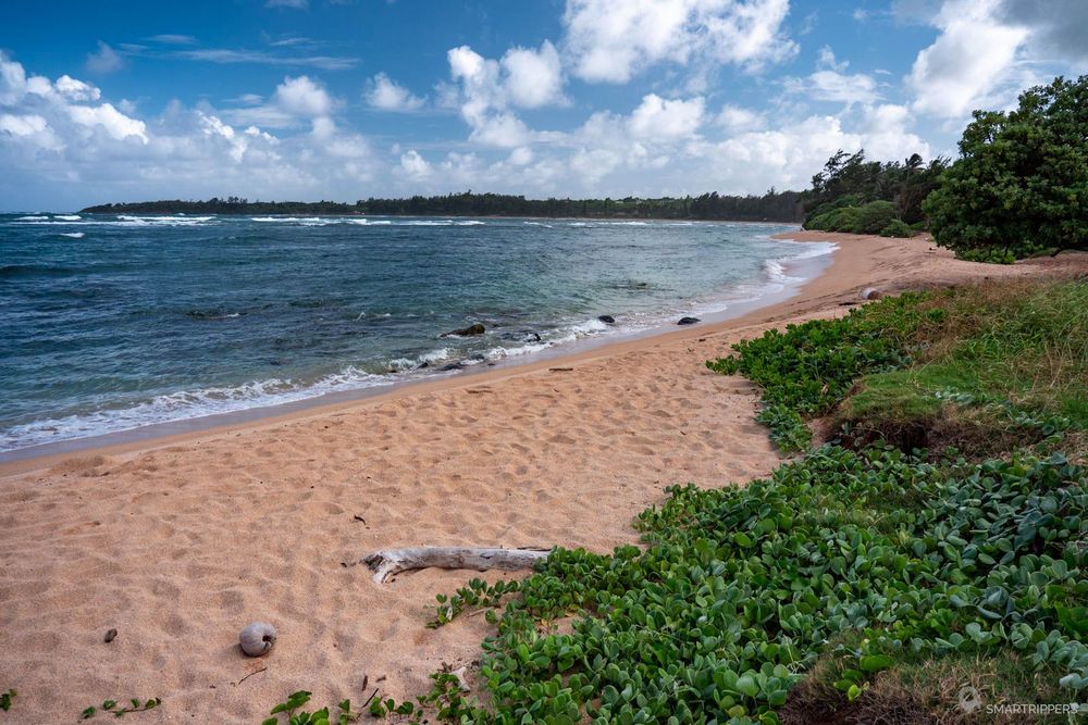 La partie sud d'Aliomanu beach.