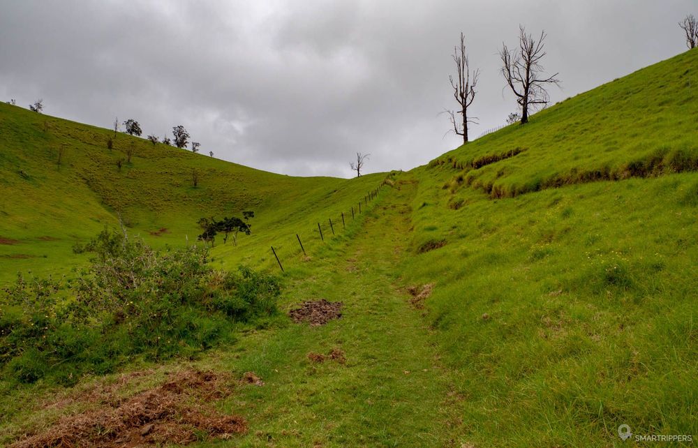 Zone herbeuse sur les hauteurs de Big Island.