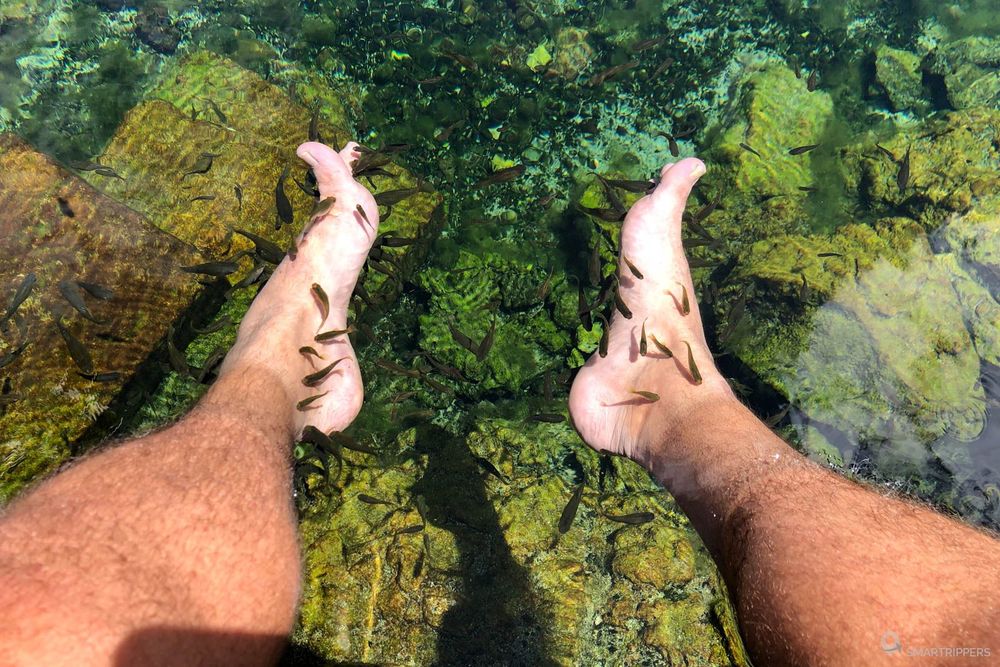 Les petits poissons viennent rapidement nous picorer la peau des pieds.