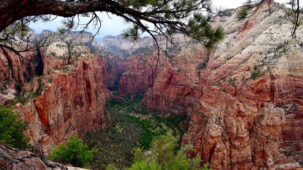 View of the canyon near the summit
