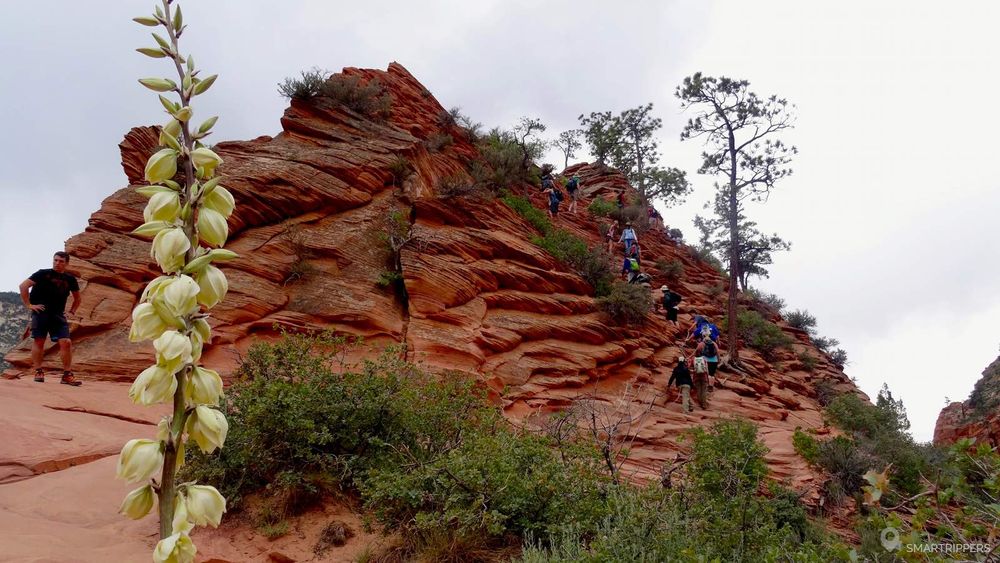 L'ascension débute par l'ascension d'une première butte.