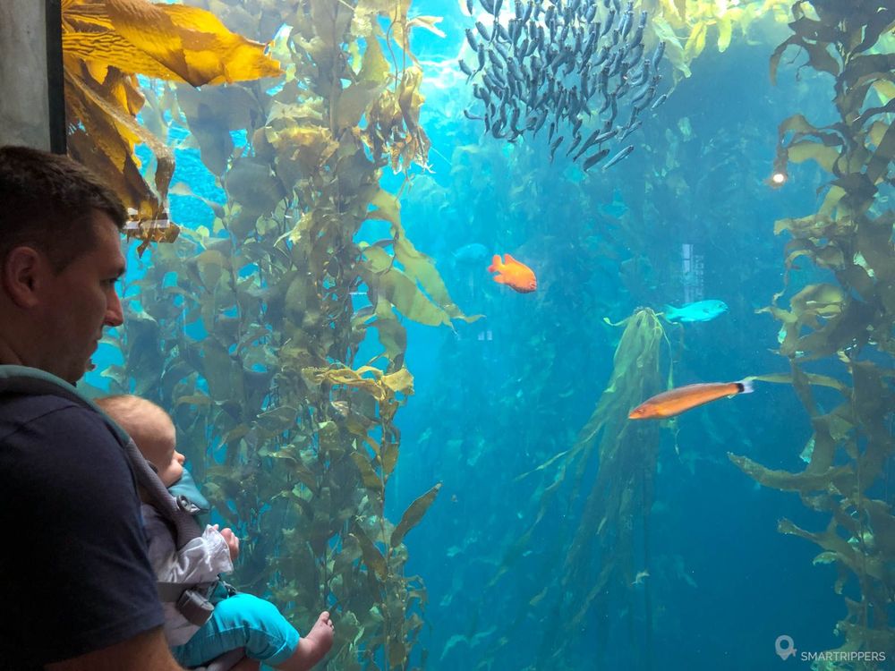 Flo et Lena devant une vitre à l'aquarium de Monterey