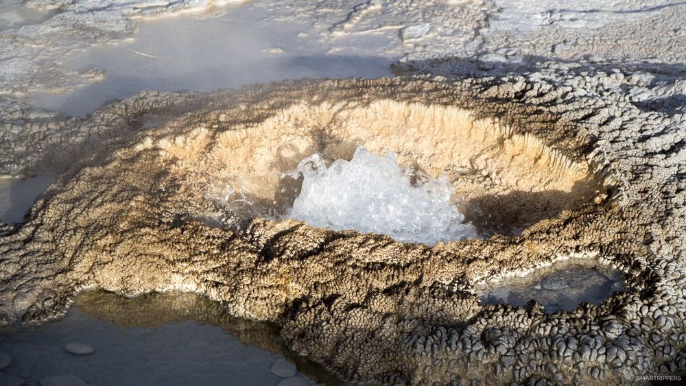 Aurum Geyser au repos, à gros bouillon.