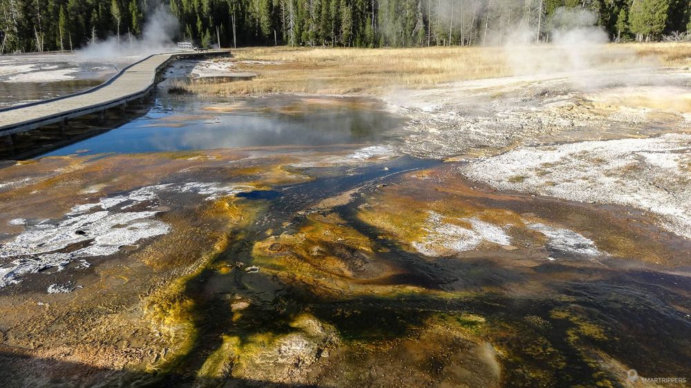 Tapis de bactéries à proximité de Pump Geyser.