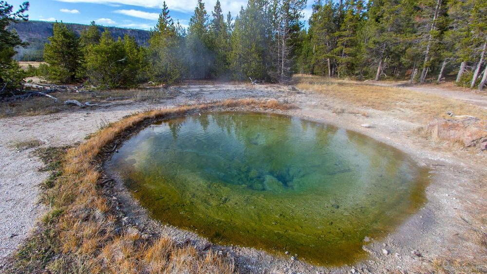 A hot spring along the trail back to Biscuit Basin.