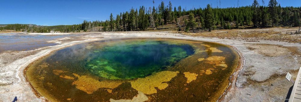 Beauty Pool - Upper Geyser Basin - Yellowstone