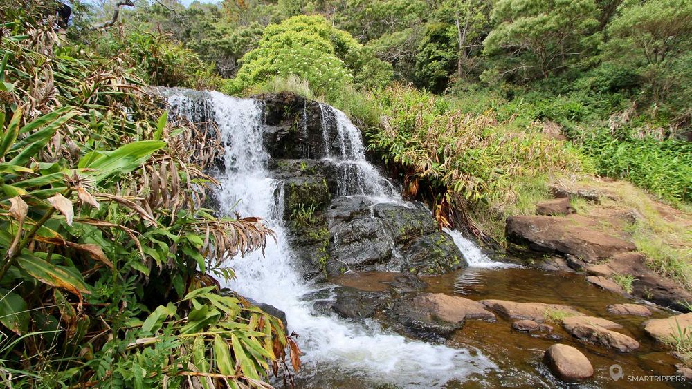 La Waipo'o River juste avant les chutes.