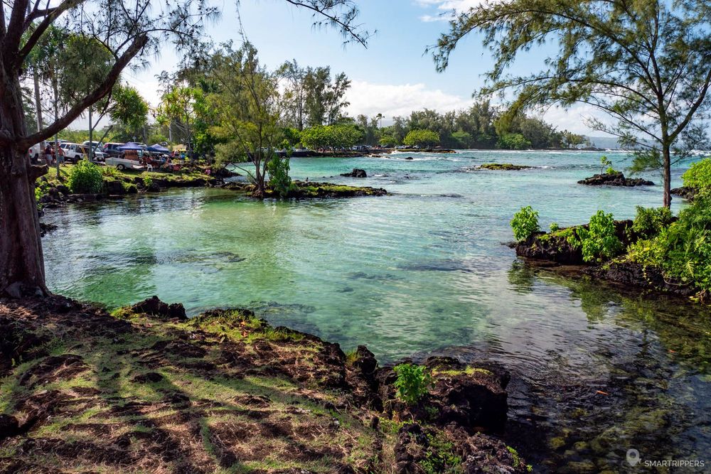 Le parc est bordé d'un joli rivage où la nature est très présente.