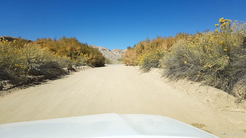 On arrive à hauteur de Cottonwood (sorte de Bouleau).