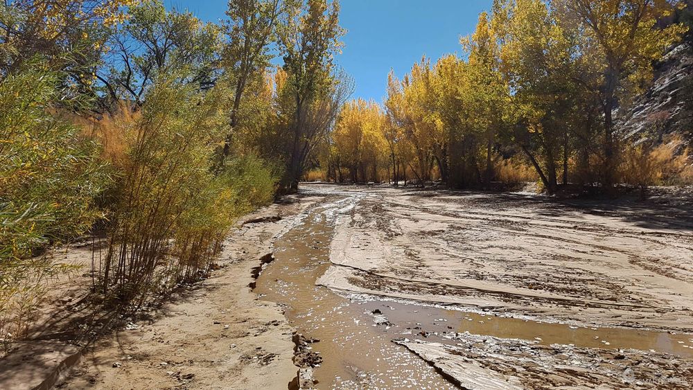 La rivière était presque à sec!
