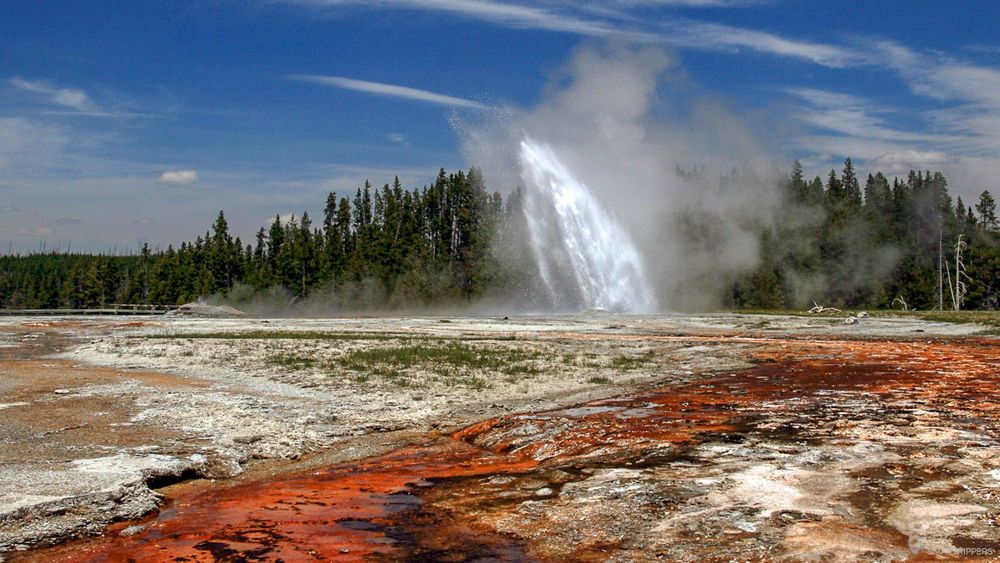Daisy Geyser's slanting jet. Photo: Brocken Inaglory
