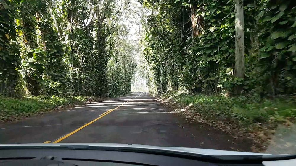 Les premiers mètres du tunnel.