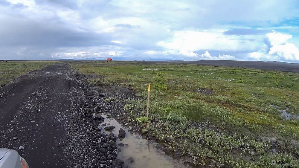 La piste traverse le marécage de Herðubreiðarlindir.