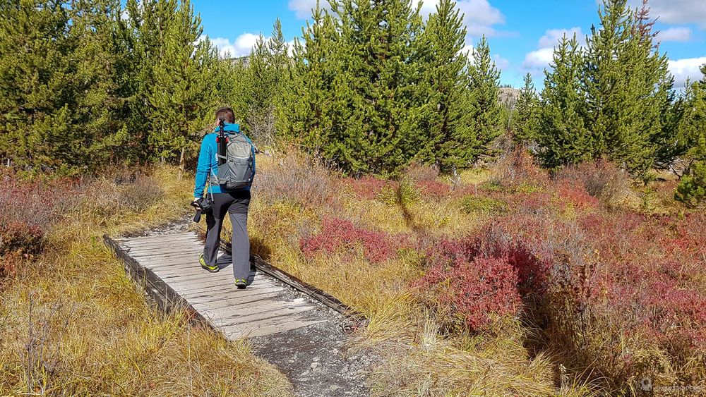 Flo traversant l'un des petits pont de bois.