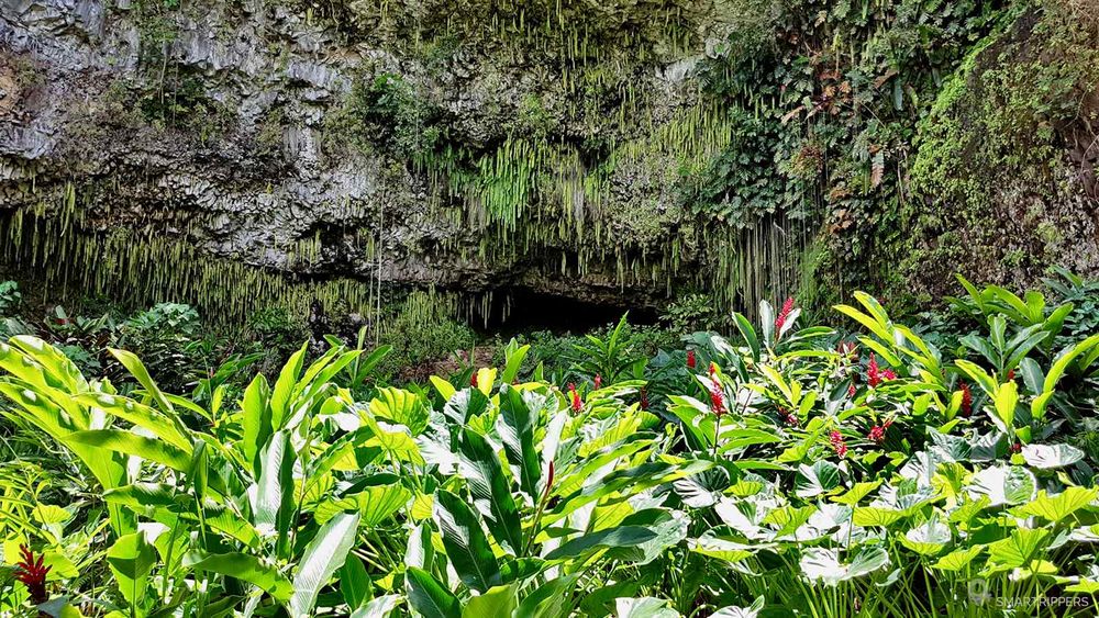 Vue sur la Fern Grotto depuis le belvédère.