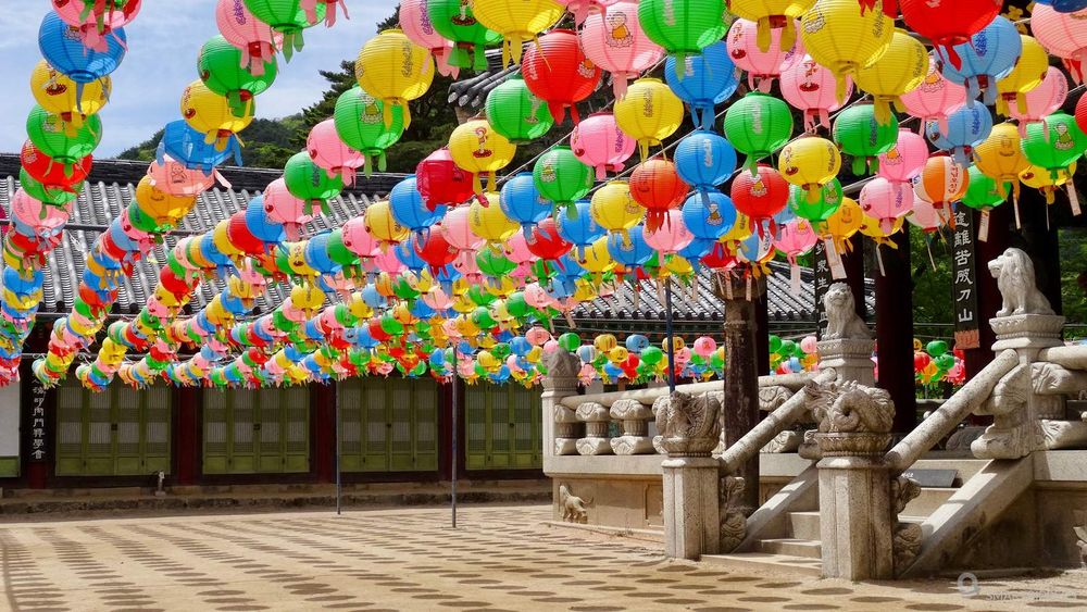 Préparation de la fête des lanternes à Haiensa.
