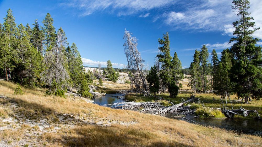 La Firehole River que l'on traverse avant de débuter le sentier.