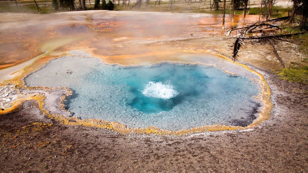 La jolie Firehole Spring (photo Wikimedia)