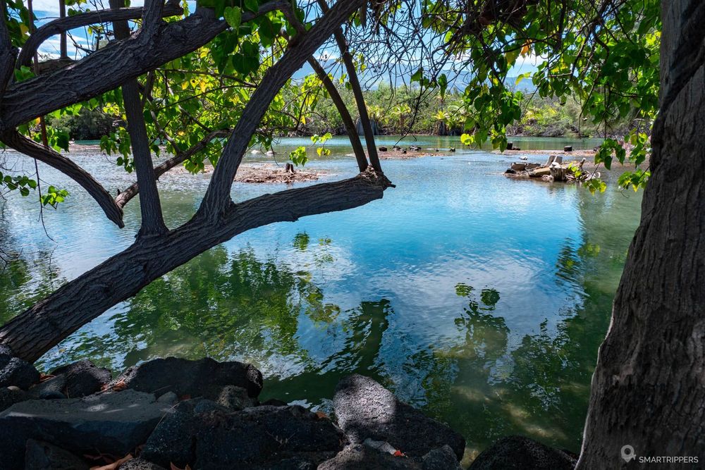 Le fishpond au bout du petit chenal.