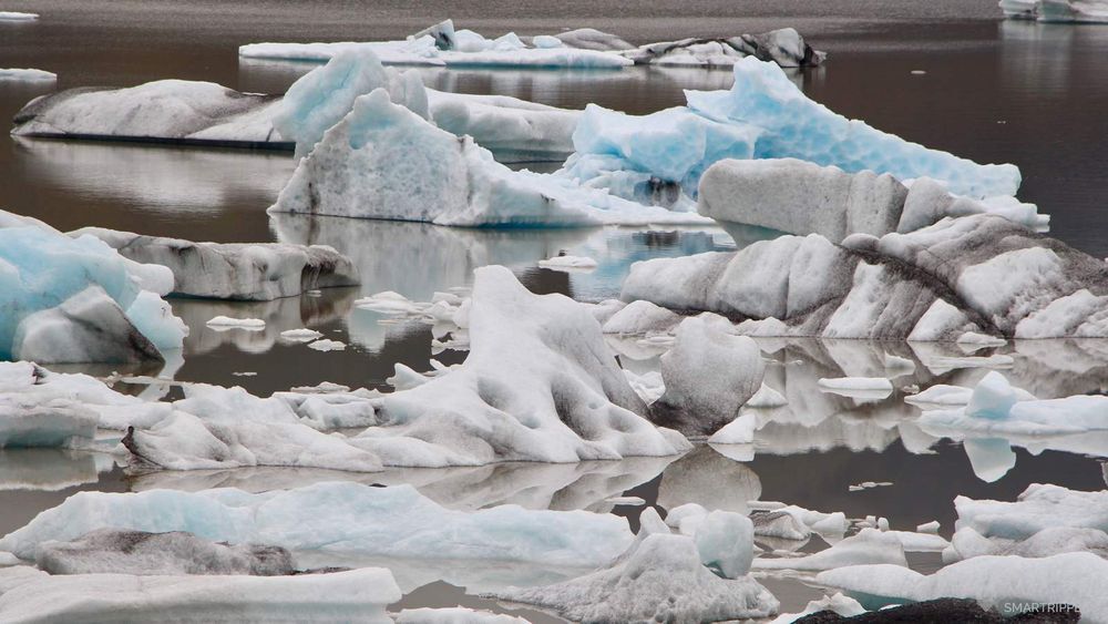 Petits morceaux d'icebergs aux différentes couleurs.
