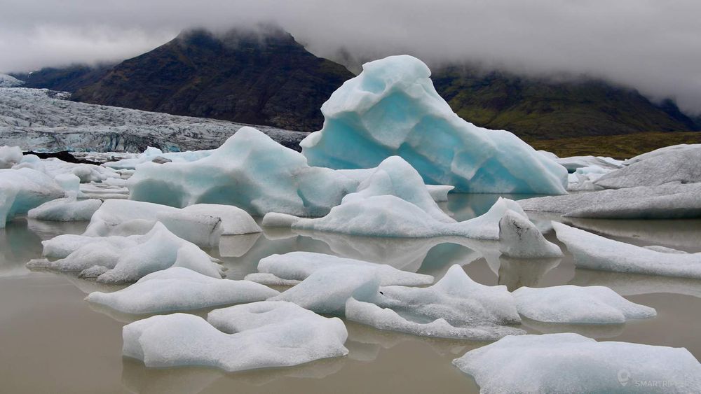 Icebergs flottant devant le Fjallsjökull au fond.