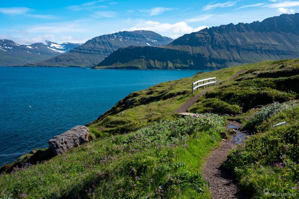 Vue sur le fjord depuis le sentier.
