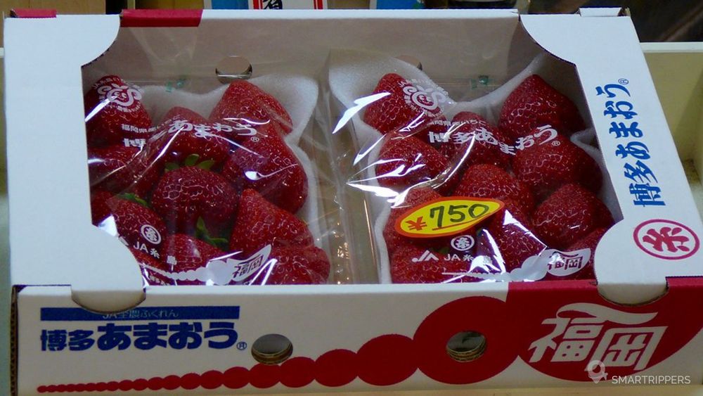 Comptez 6 0 pour ces belles fraises