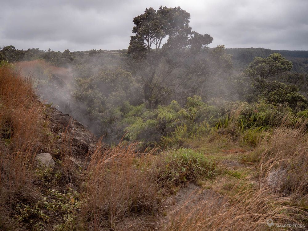 Fumerolles le long de Crater Rim trail.