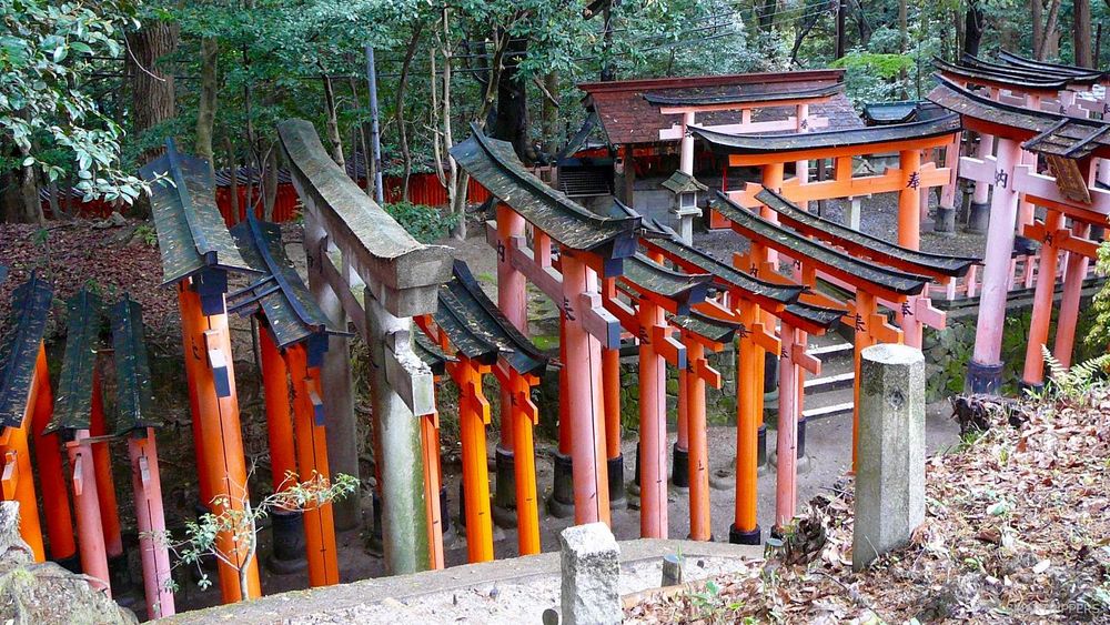 Sur cette section, aucun torii ne se ressemble!