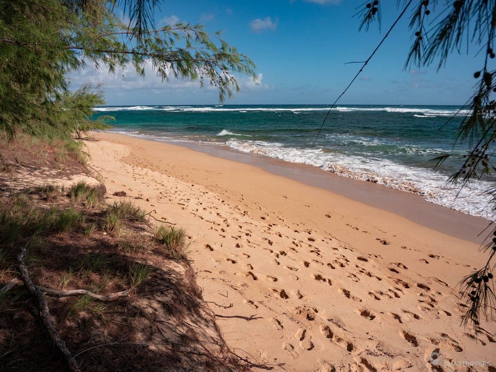 La plage de Gillin's beach vers le milieu.