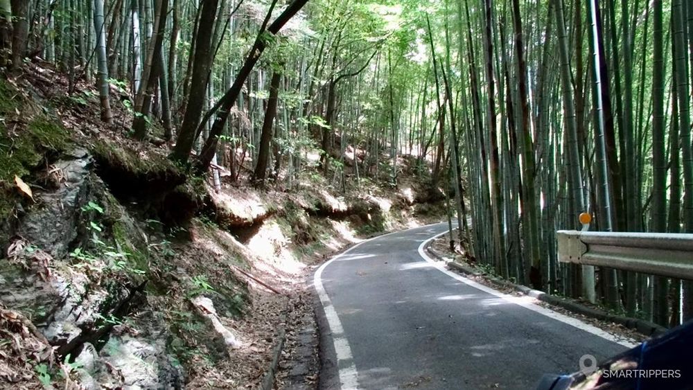 La route est si étroite par endroit qu'il n'est pas possible de s'y croiser!