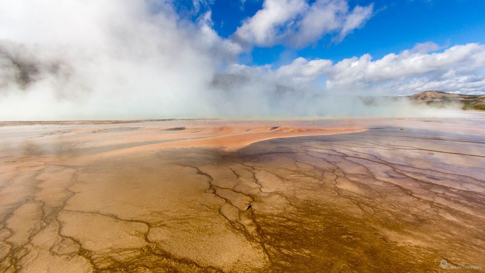 Tapis de bactéries ocres devant Grand Prismatic Spring.