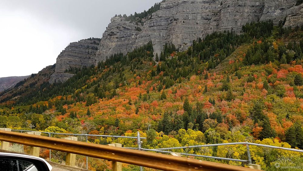 Couleurs d'automne le long de la Highway 89.