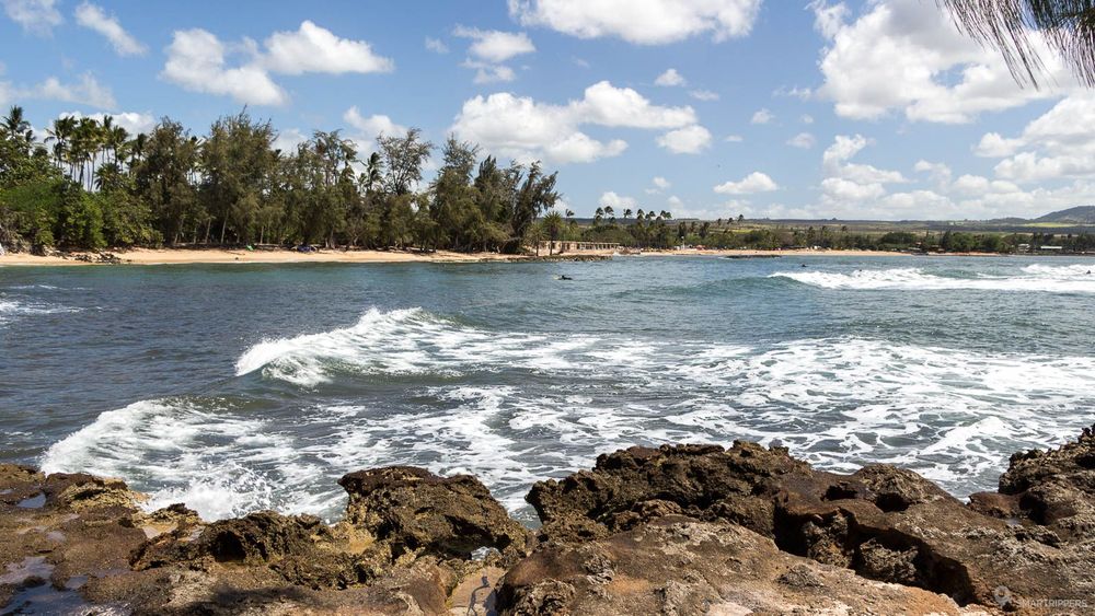 Plage et vagues près d'Haleiwa.