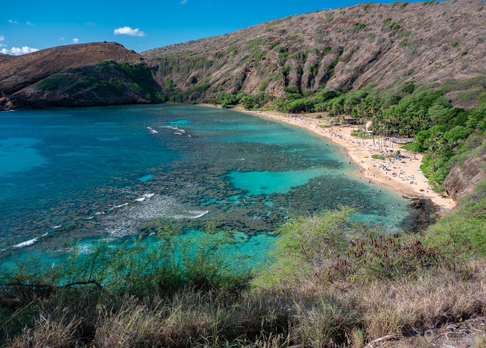 La célèbre Hanauma Bay, mignon d'en haut mais très touristique et assez endommagée sous l'eau.