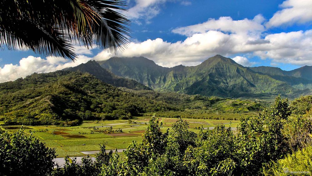 Paysage près de Princeville dans le nord de Kauai.