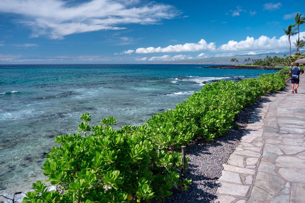 Le long de la promenade d'accès au Hilton.