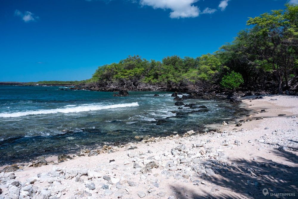 Petite plage jonchée de coraux morts.